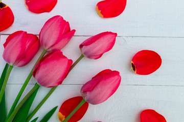 Red tulips on white wooden background. Top view. Copy space. Greeting card.