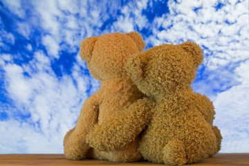 Back of a couple cute brown bears sitting on wood hugging each other with blurred blue sky with clouds background