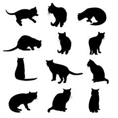 Vector silhouettes of cats isolated on white background