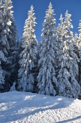 Sport background. Winter sport. Snowboarder jumping through air with deep blue sky in background