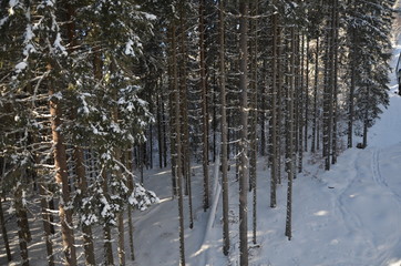 Sport background. Winter sport. Snowboarder jumping through air with deep blue sky in background.
