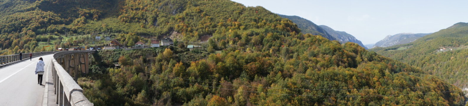 SONY DSC