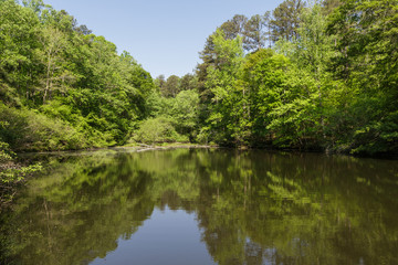 Fototapeta na wymiar Calm Lake in Green Forest Under Blue Sky