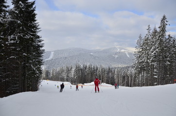 Карпаты