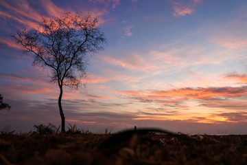 beautiful sky wallpaper