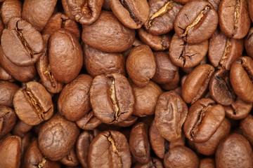 Group of brown coffee grains background, macro, close-up