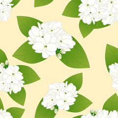 Arabian Jasmine on Yellow Ivory Background. Vector Illustration