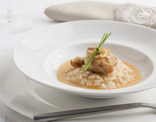 Gourmet rice dish with sauce and fried chicken