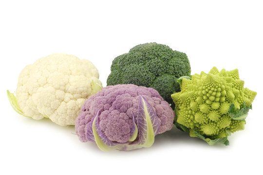 Romanesco broccoli, fresh cauliflower, purple cauliflower and green broccoli on a white background