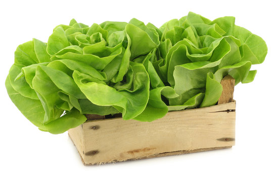 fresh lettuce in a wooden crate on a white background