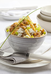 A bowl of fried rice with chicken and sliced omelet