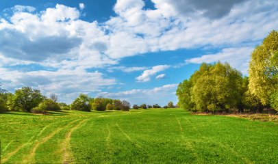 Fototapeta na wymiar grüne weite Wiese im Frühling bei blauem Himmel mit Wolken