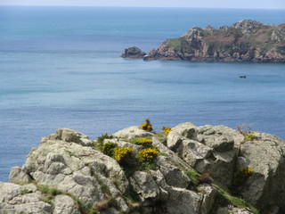 Spring on Guernsey coastline
