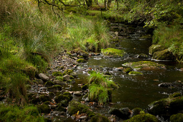 Bala Stream