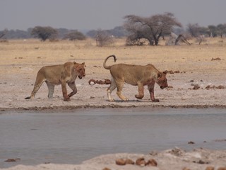 Botswana