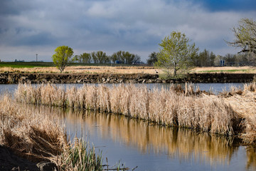 Colorado wetlands