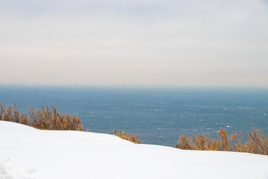 Winter Landscape
