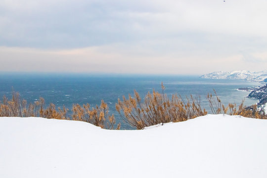 Winter Landscape