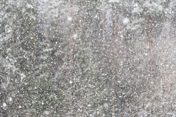 Snowflakes falling against the forest