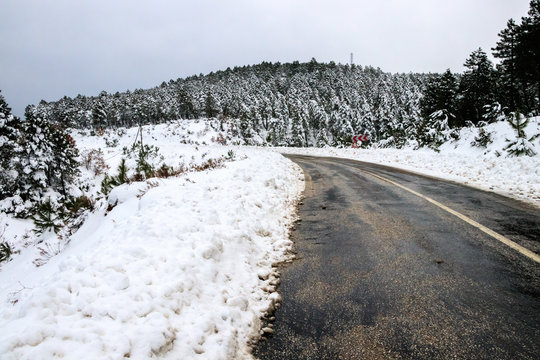 Winter Landscape
