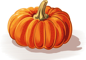 ripe pumpkin on a white background.