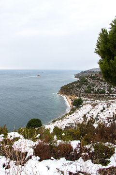 Winter Landscape