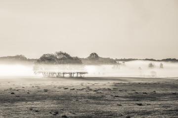 mgła nad narwią IV