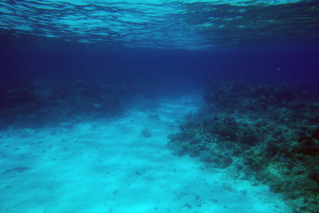 Sea deep or ocean underwater with coral reef as a background