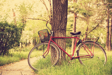 Fototapeta premium Vintage bicycle near tree