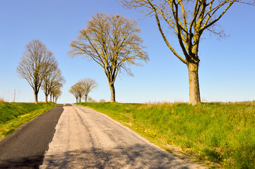 Fototapeta na wymiar Small winding road in the countryside