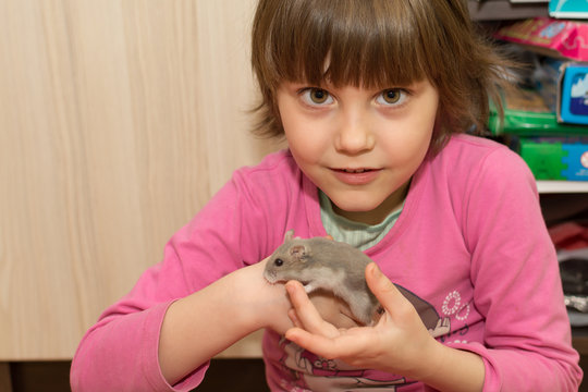 Little girl playing with hamster