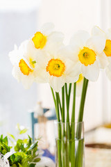 Fototapeta na wymiar Bouquet of white daffodils
