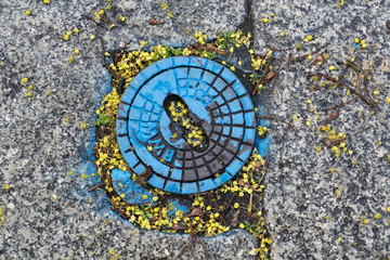 round blue sprayed sewer cover on a sidewalk