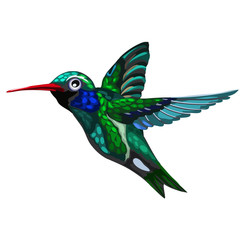 Flying green-blue bird Hummingbird. Colibri