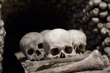 Obraz premium Skull in monastery,Czech Republic