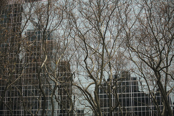 Fototapeta premium Detail of building.