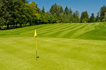 Golf course with gorgeous green and flag