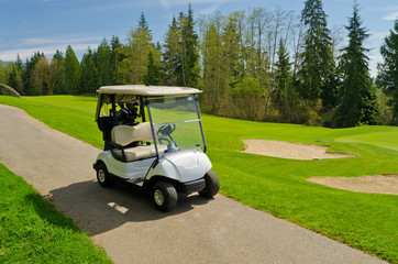 Golf cart over nice green and blue sky © karamysh