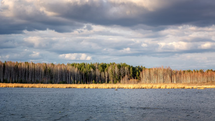 весенний уральский лес на берегу реки, Россия © 7ynp100