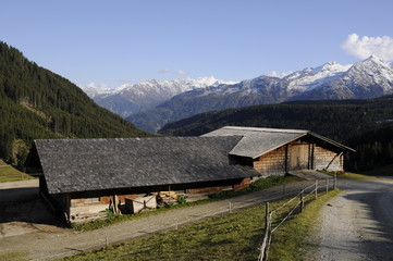 Alm bei Königsleiten