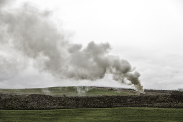 Smoke in the forest