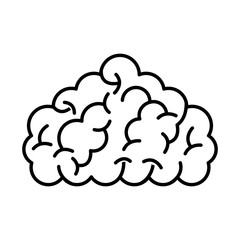 storm brain isolated icon vector illustration design