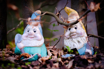 Two garden gnomes 
