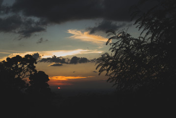 Tres silhouettes at sunset in Brazil
