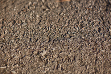 Crack asphalt background