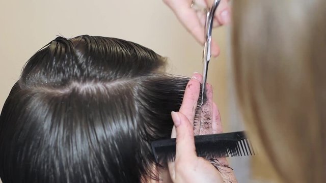 Woman getting a haircut by a professional hairdresser using comb and grooming scissors
