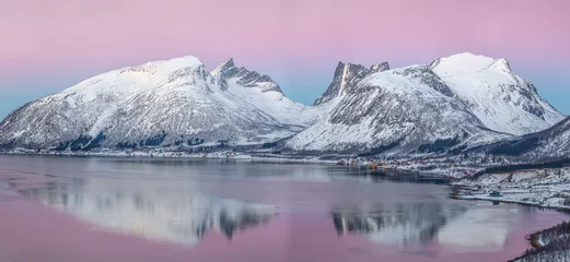 Photo sur Plexiglas Reinefjorden Panorama of the beautiful fjord on Senja island with magical pink light at sunset, Troms county - Norway