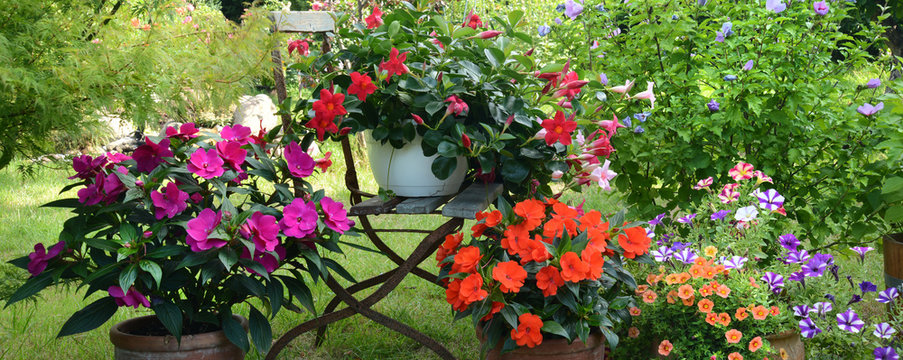Garten 784