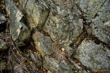 Seamless stone texture