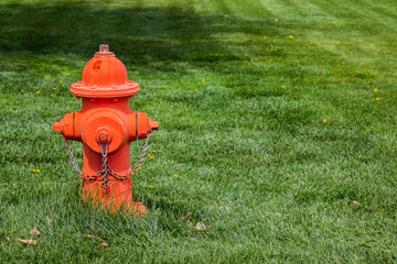 Orange Fire Hydrant In Field